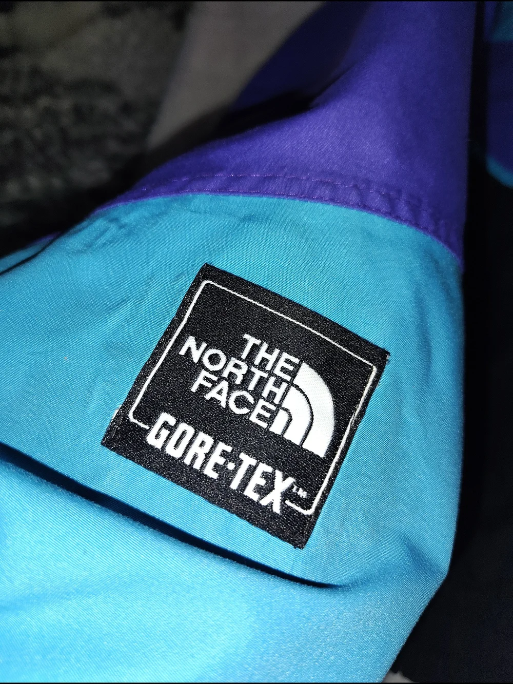 The North Face bold color